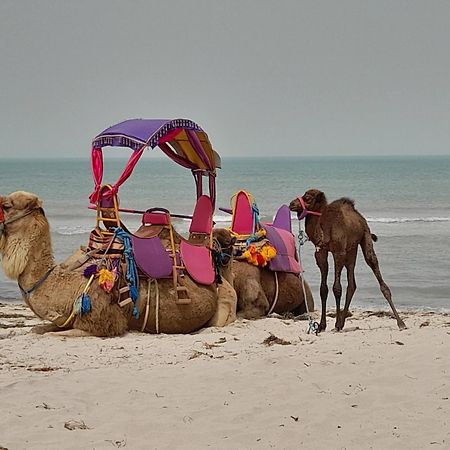Dar El Kahina Djerba 호텔 Mezraia 외부 사진